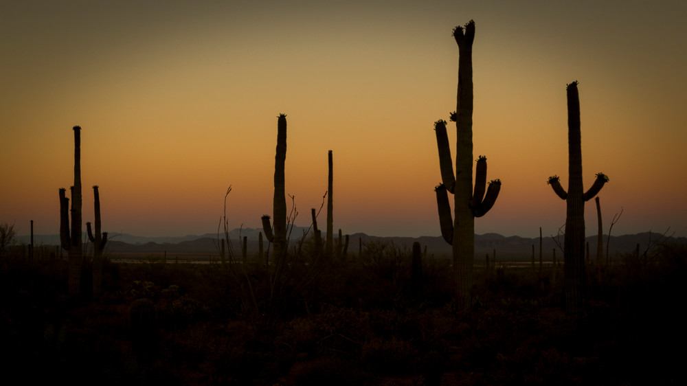 Mg 3937 Photography Art | Captured Adventure Photography