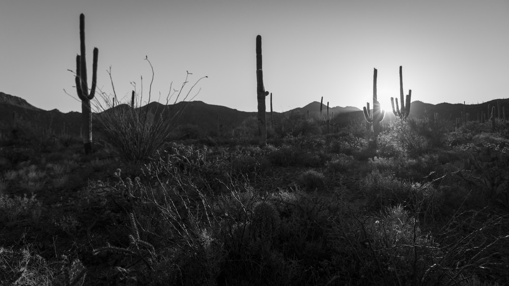 Mg 4082 1 Photography Art | Captured Adventure Photography