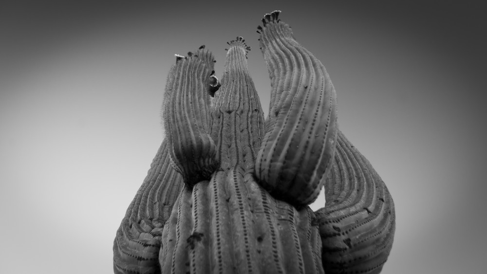 Mg 4010 Photography Art | Captured Adventure Photography