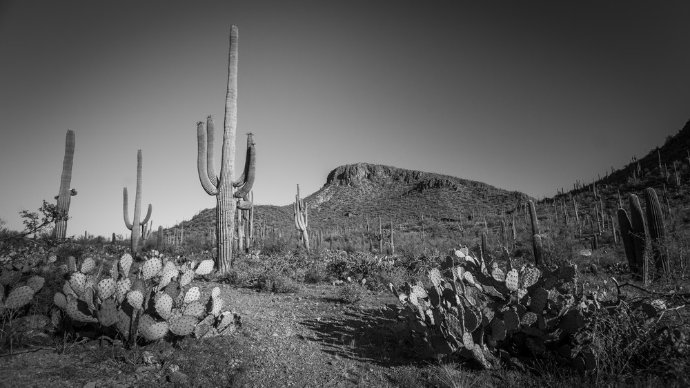 Mg 4130 Photography Art | Captured Adventure Photography