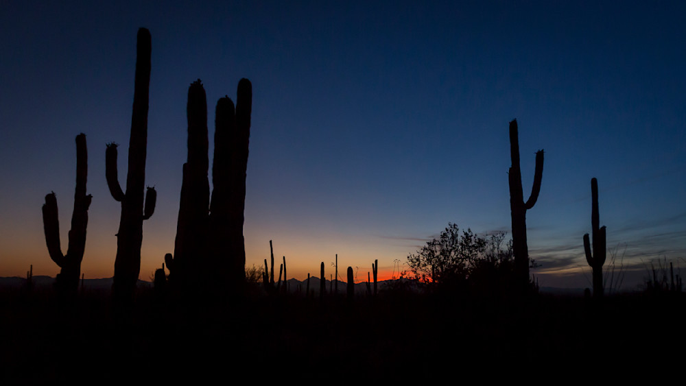 Mg 4369 Photography Art | Captured Adventure Photography