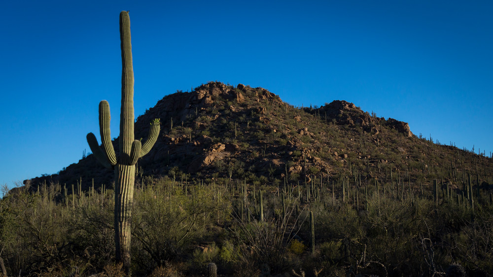 Mg 4087 Photography Art | Captured Adventure Photography