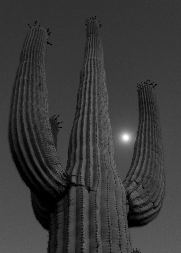 Mg 4422 Photography Art | Captured Adventure Photography