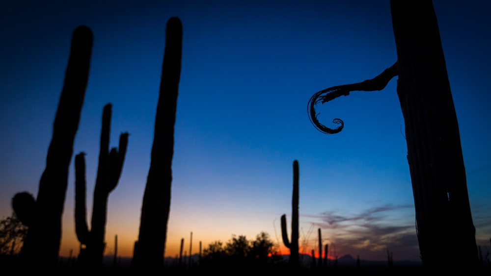 Mg 4388 Photography Art | Captured Adventure Photography