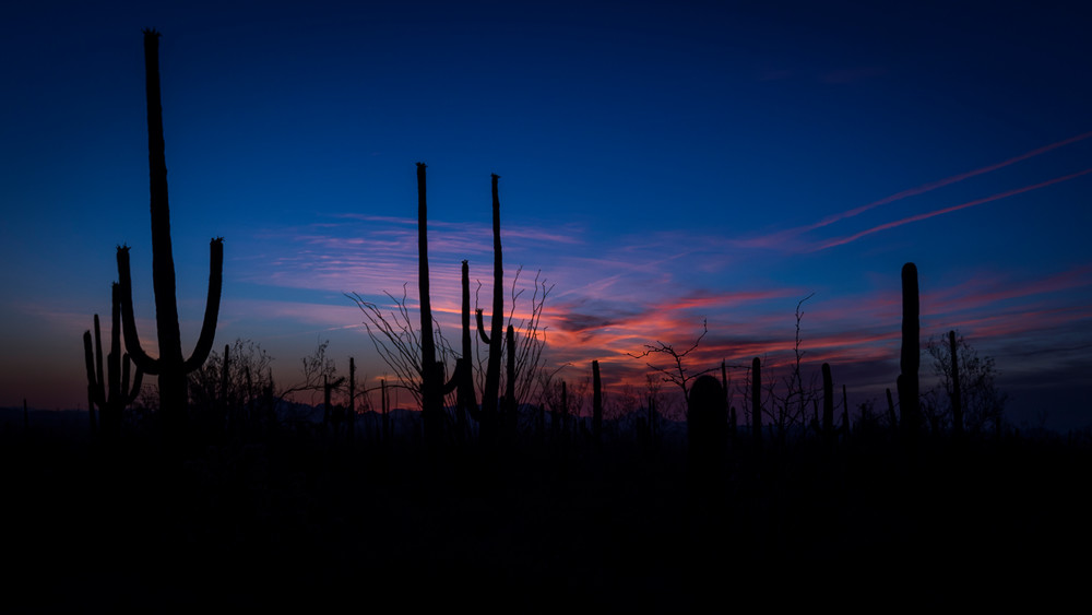 Mg 4290 Photography Art | Captured Adventure Photography