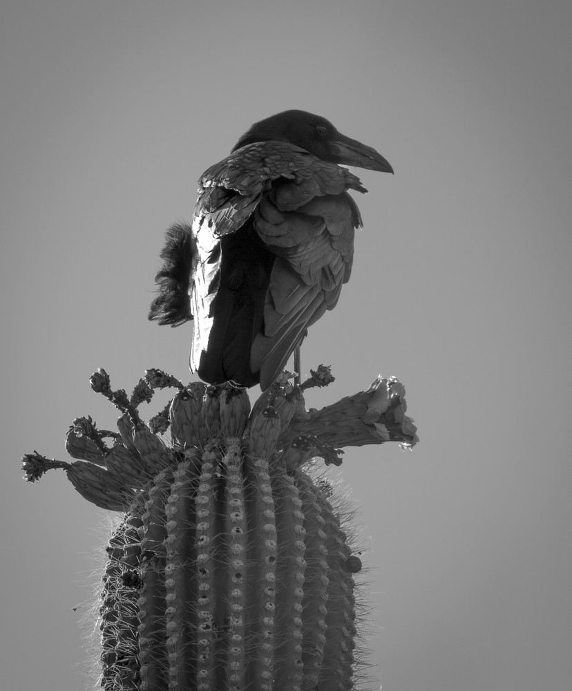 Img 0621 Photography Art | Captured Adventure Photography