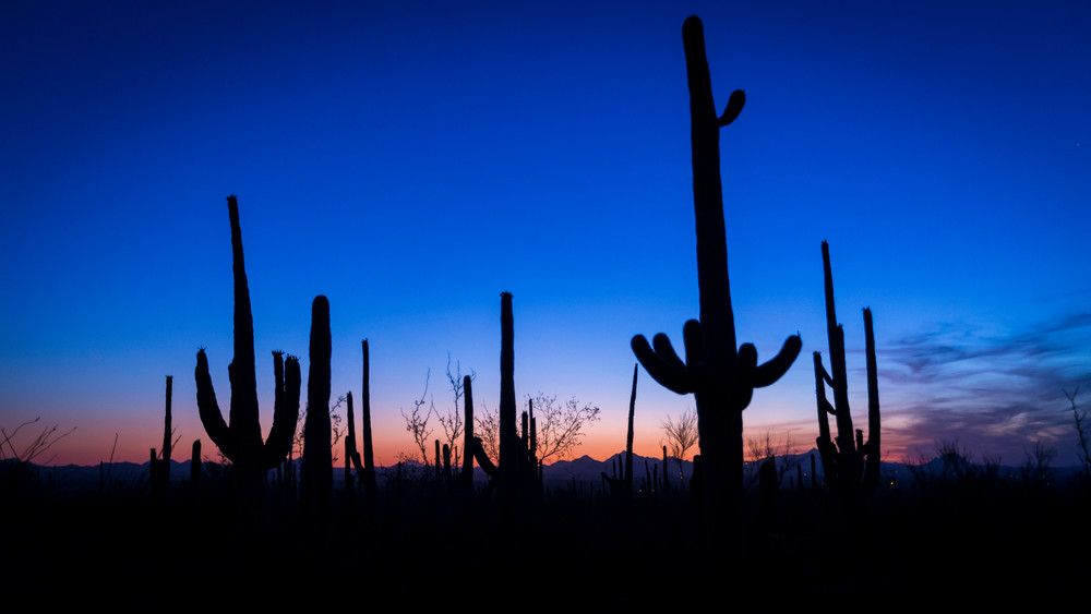 Mg 4427 Photography Art | Captured Adventure Photography