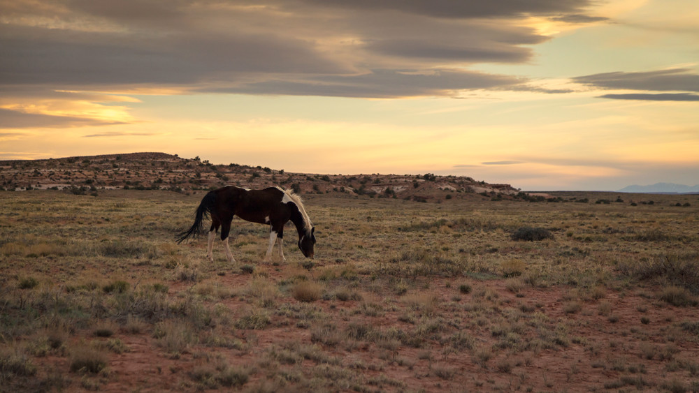 0 Y4 A2520 Photography Art | Captured Adventure Photography