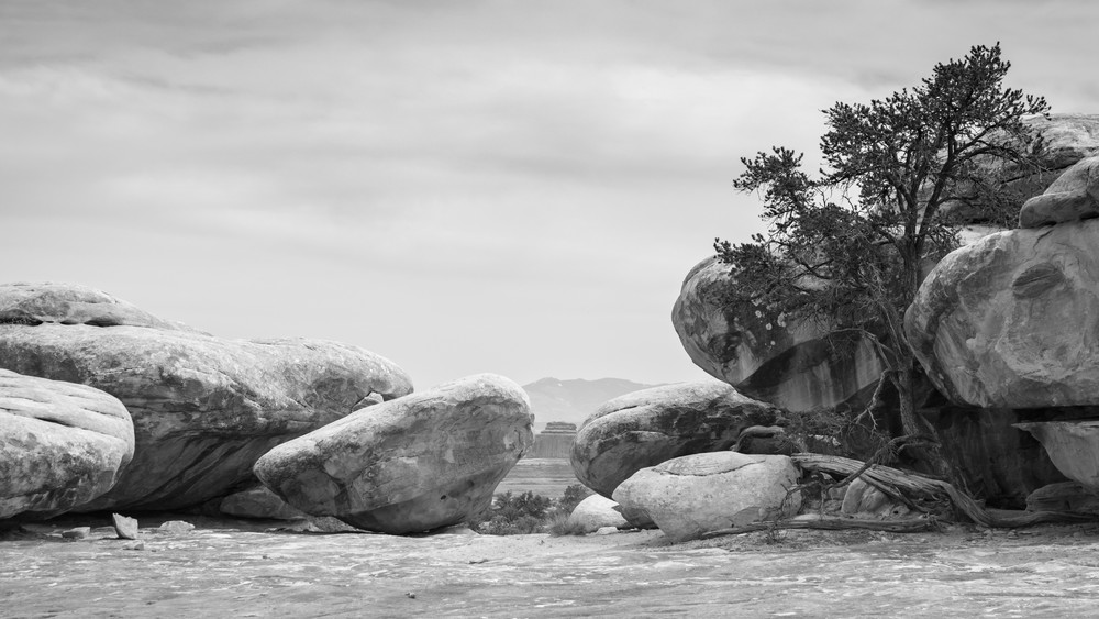 0 Y4 A2894 Photography Art | Captured Adventure Photography