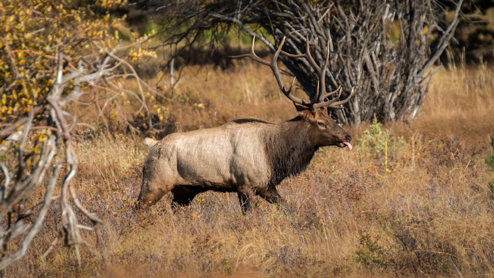 S00 A5749 Photography Art | Captured Adventure Photography