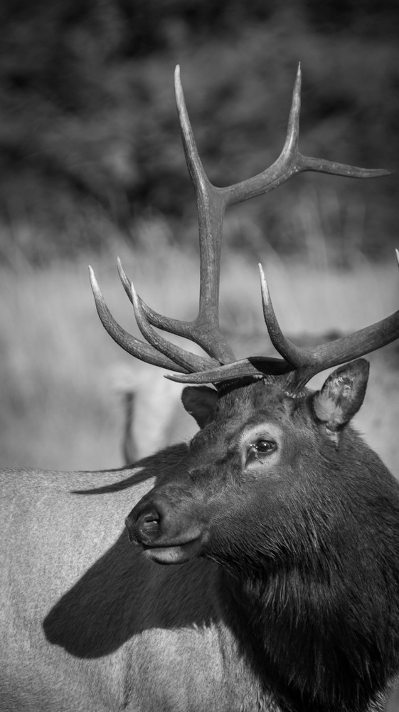 S00 A6030 1 Photography Art | Captured Adventure Photography