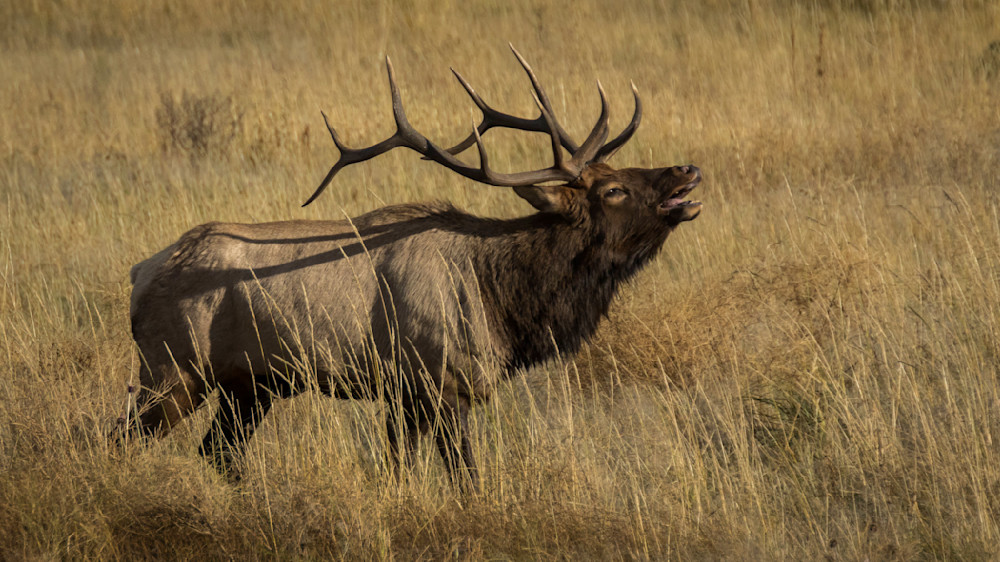 S00 A5978 Photography Art | Captured Adventure Photography