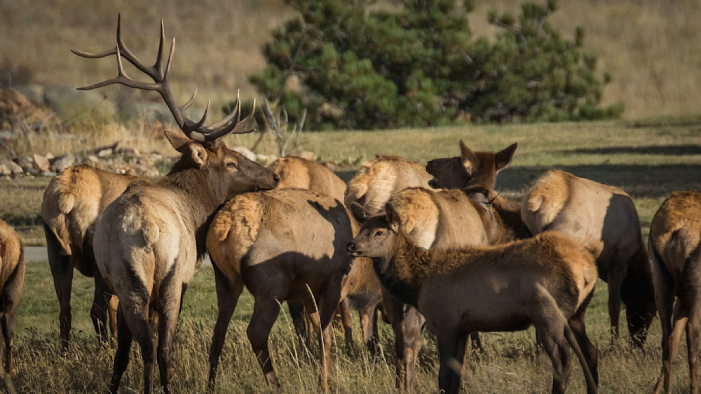 S00 A5999 Photography Art | Captured Adventure Photography