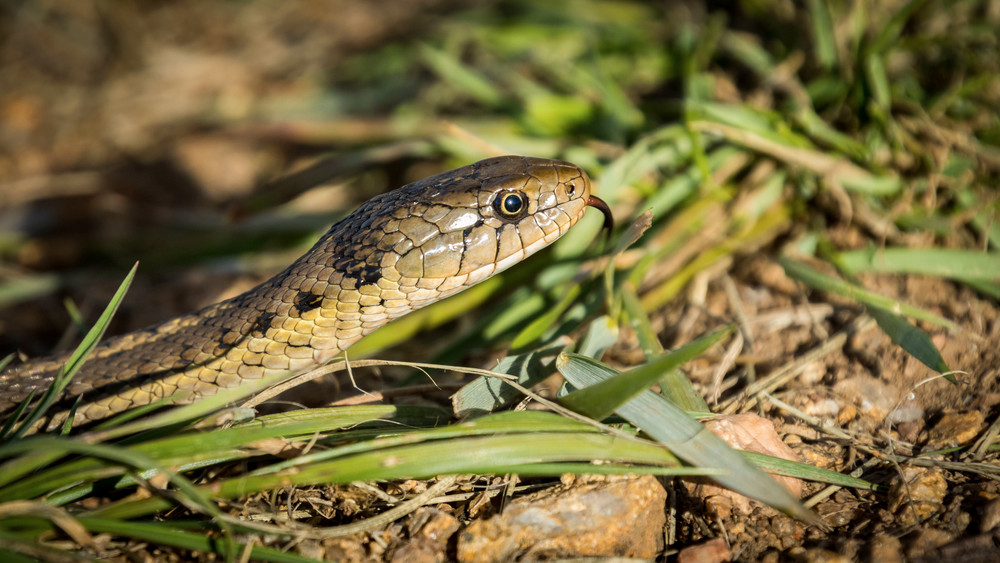 S00 A6098 Photography Art | Captured Adventure Photography