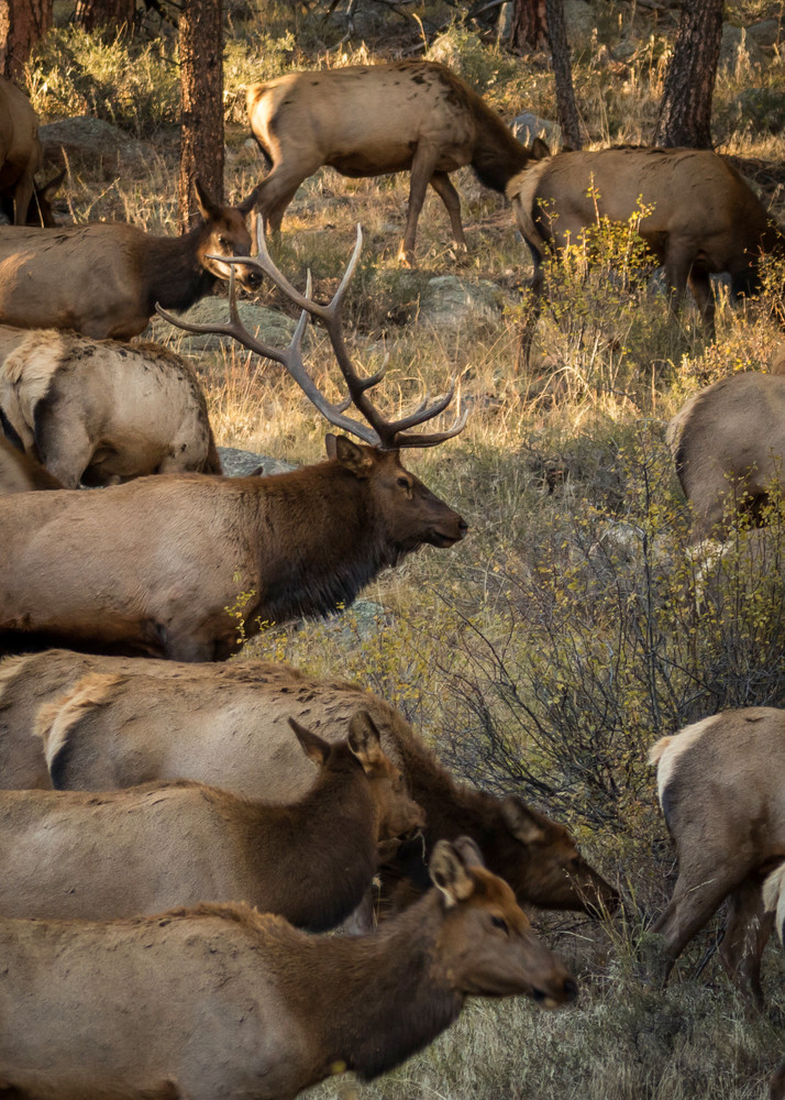 S00 A6282 Photography Art | Captured Adventure Photography