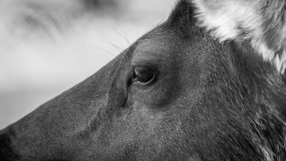 S00 A6255 Photography Art | Captured Adventure Photography