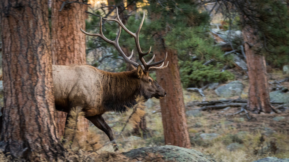 S00 A6475 Photography Art | Captured Adventure Photography