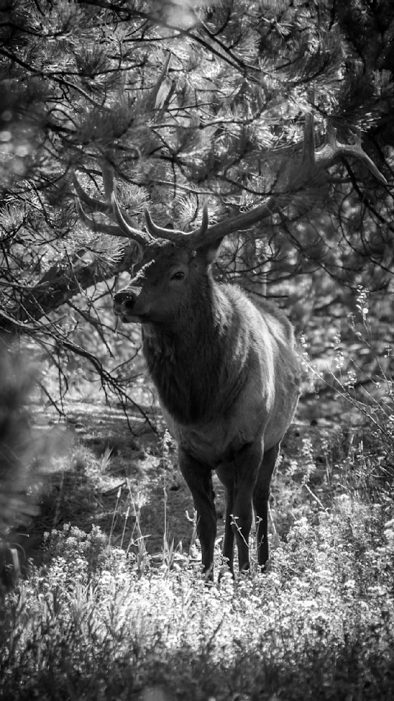 S00 A6822 Photography Art | Captured Adventure Photography