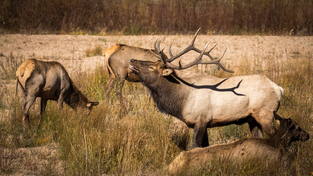 S00 A6711 1 Photography Art | Captured Adventure Photography