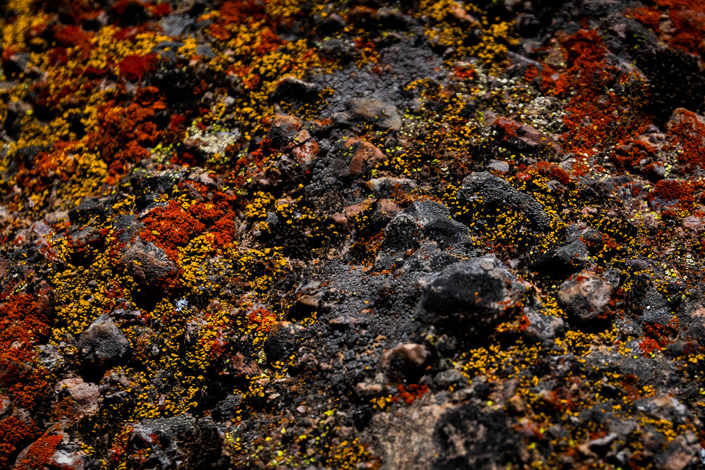 0 Y4 A7270 Photography Art | Captured Adventure Photography