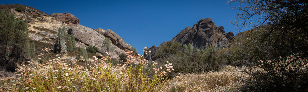 0 Y4 A7308 Photography Art | Captured Adventure Photography