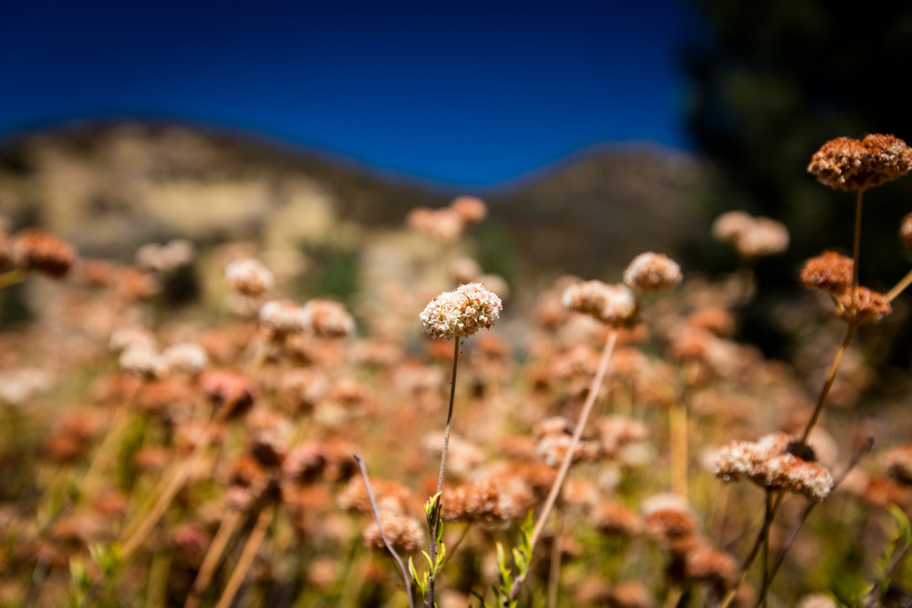 0 Y4 A7329 Photography Art | Captured Adventure Photography