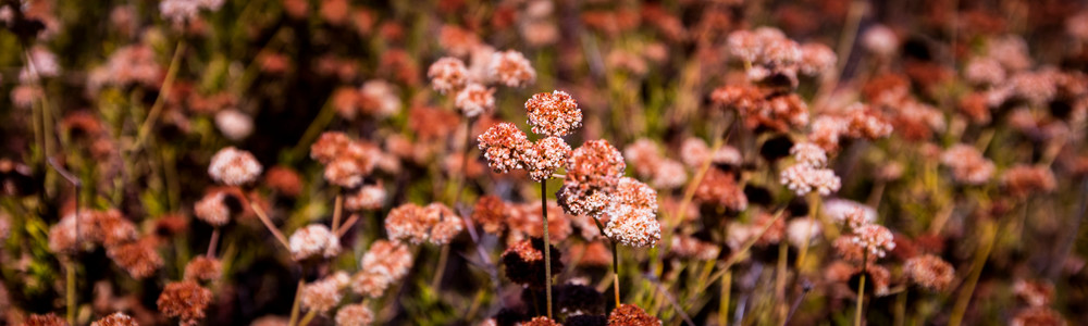 0 Y4 A7320 Photography Art | Captured Adventure Photography