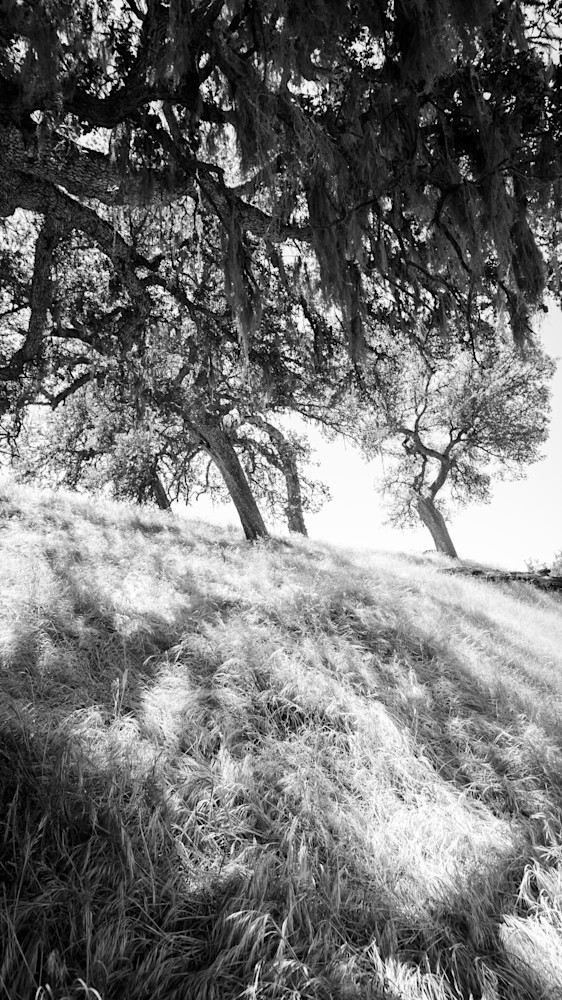 0 Y4 A7346 Photography Art | Captured Adventure Photography