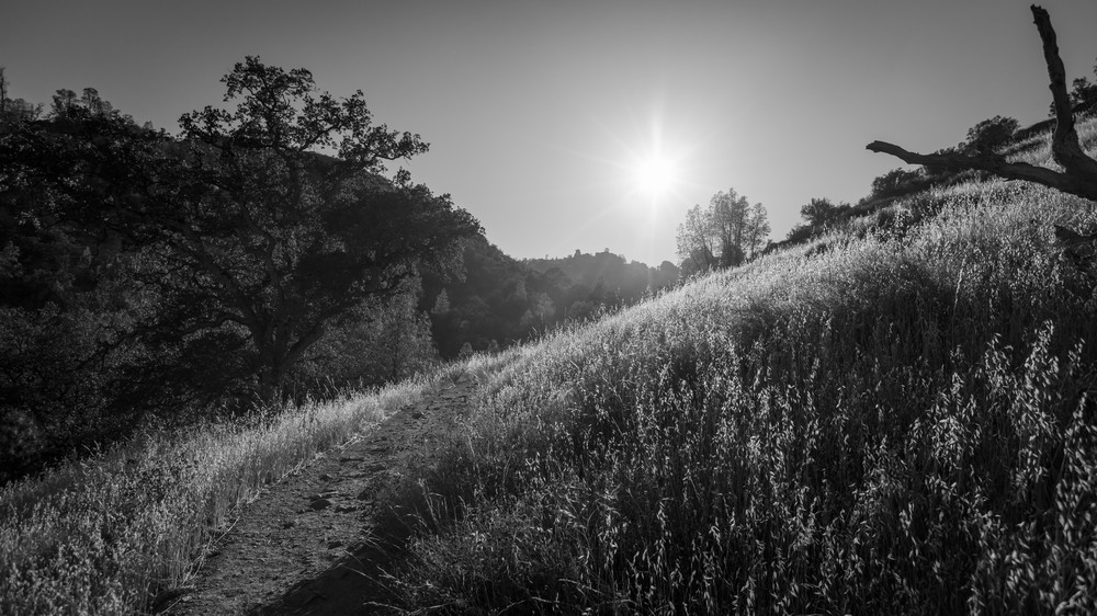 0 Y4 A7411 Photography Art | Captured Adventure Photography