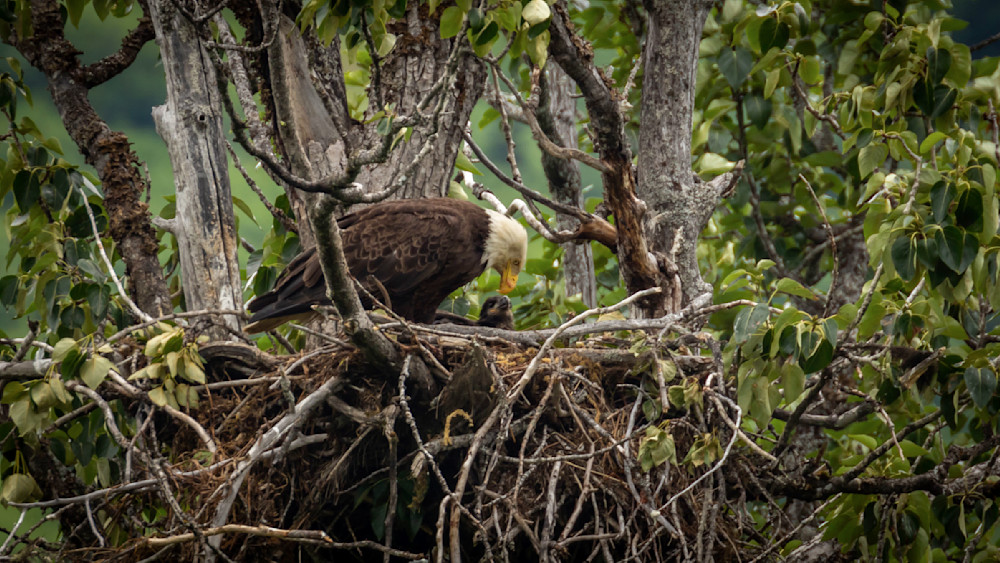 S00 A3129 1 Photography Art | Captured Adventure Photography