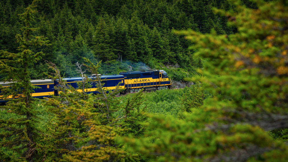 0 Y4 A5351 Photography Art | Captured Adventure Photography