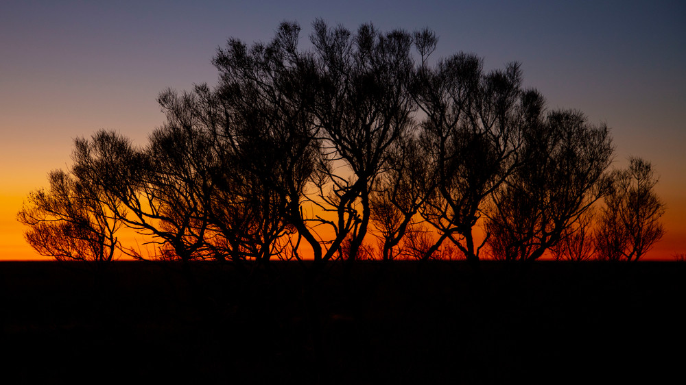 0 Y4 A6576 Photography Art | Captured Adventure Photography