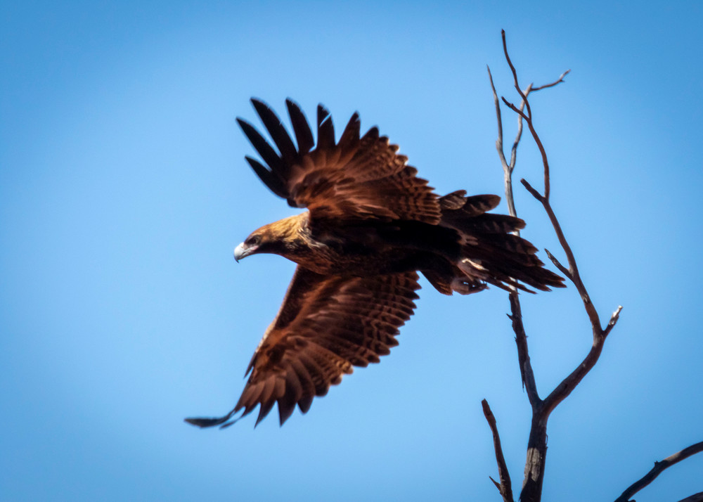 S00 A0129 Photography Art | Captured Adventure Photography