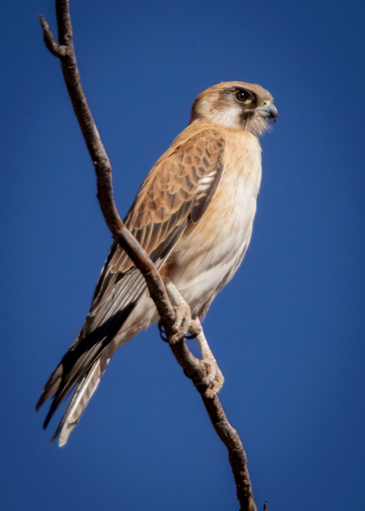 S00 A0396 Photography Art | Captured Adventure Photography