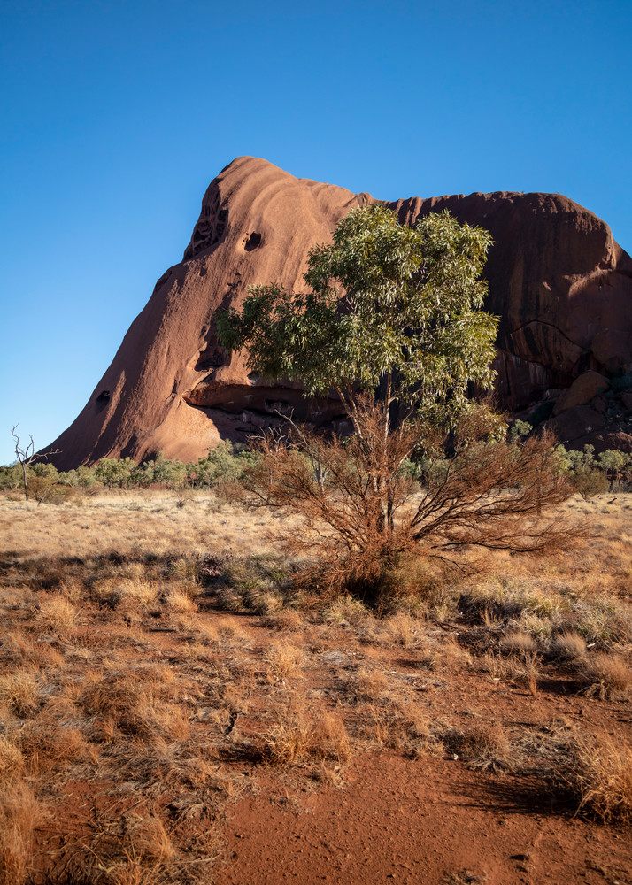 0 Y4 A6797 Photography Art | Captured Adventure Photography