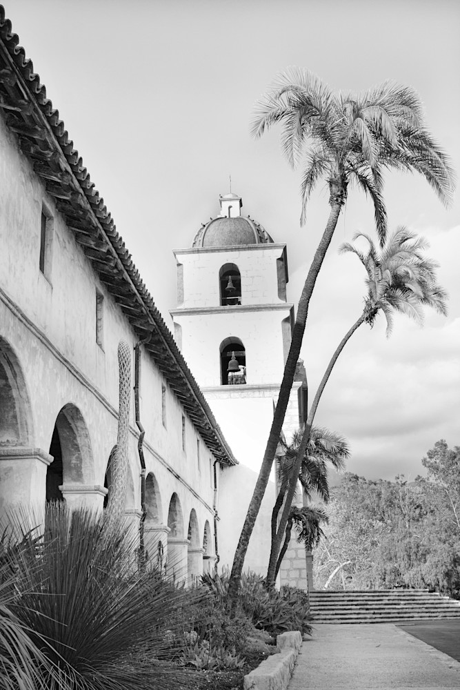 Santa Barbara Palm Trees Photography Art | Rosanne Nitti Fine Arts