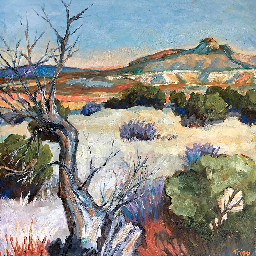 Twisted Art | Fine Art New Mexico