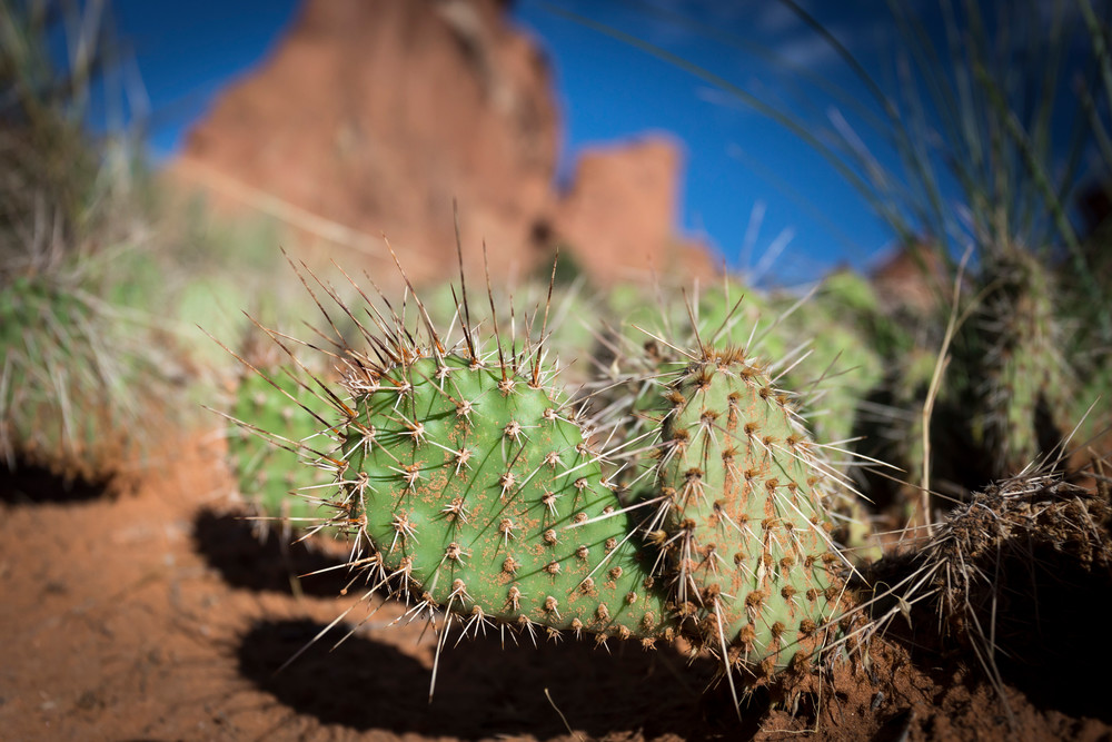 Mg 1075 Photography Art | Captured Adventure Photography