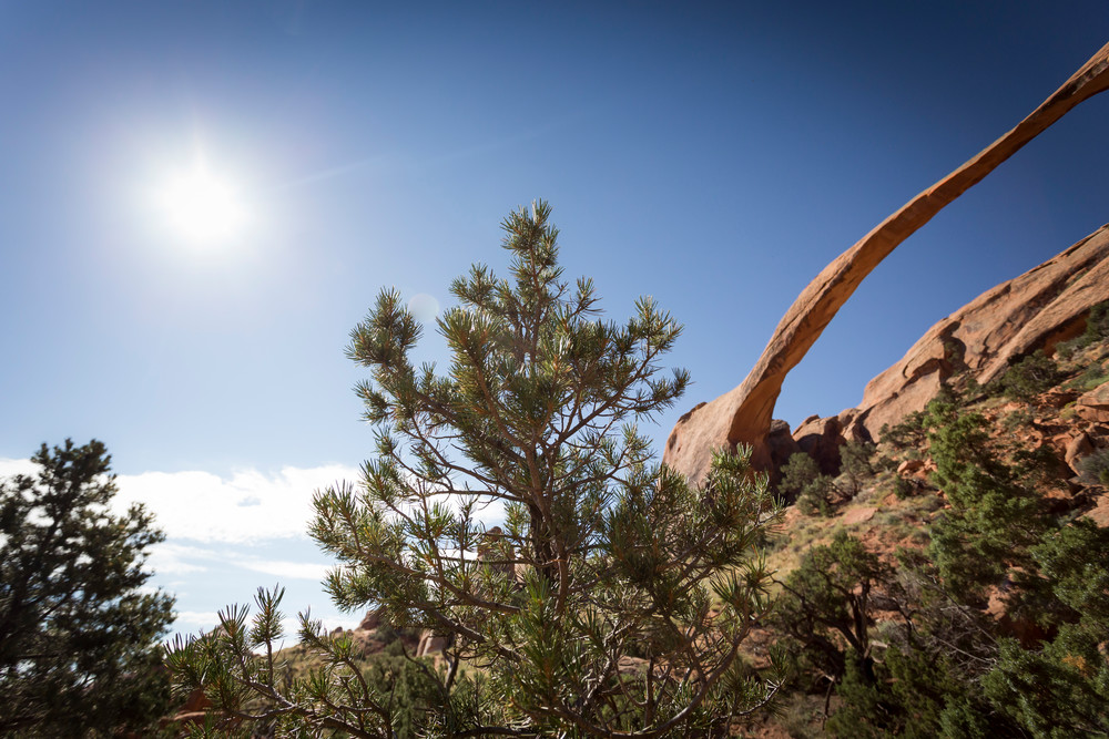 Mg 1313 Photography Art | Captured Adventure Photography