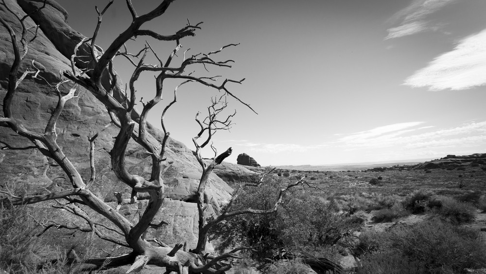 Mg 1405 Photography Art | Captured Adventure Photography