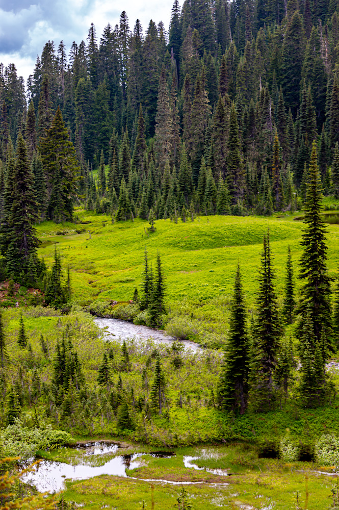 Paradise Meadow, Mount Rainier National Park Photography Art | Catherine Balck Photography