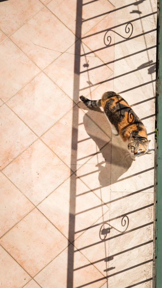 0 Y4 A3274 Photography Art | Captured Adventure Photography