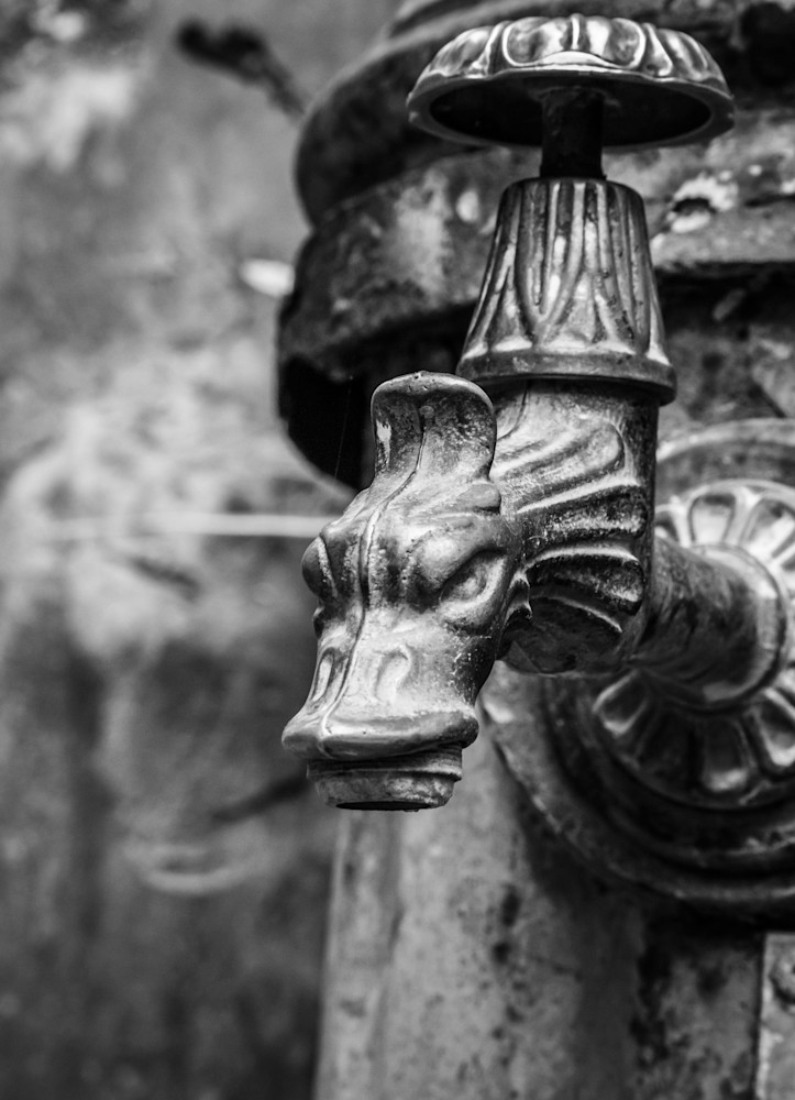 0 Y4 A1472 Photography Art | Captured Adventure Photography