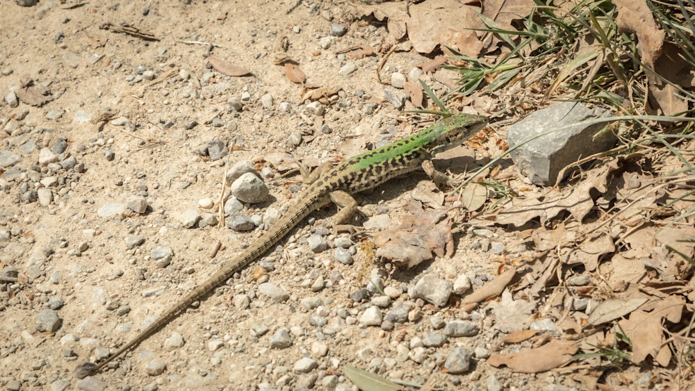 0 Y4 A1708 Photography Art | Captured Adventure Photography