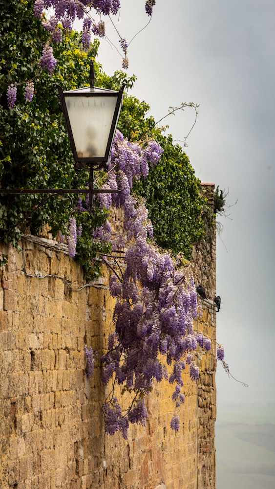 0 Y4 A1858 Photography Art | Captured Adventure Photography