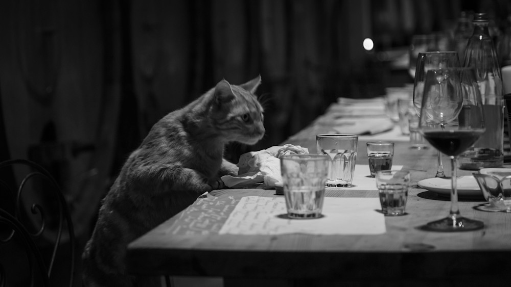 0 Y4 A1796 Photography Art | Captured Adventure Photography