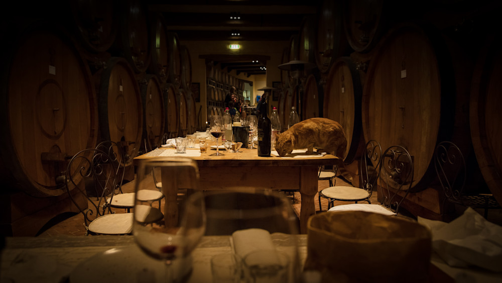 0 Y4 A1802 Photography Art | Captured Adventure Photography