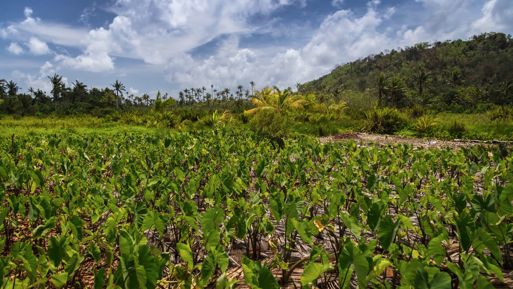 0 Y4 A0640 Photography Art | Captured Adventure Photography