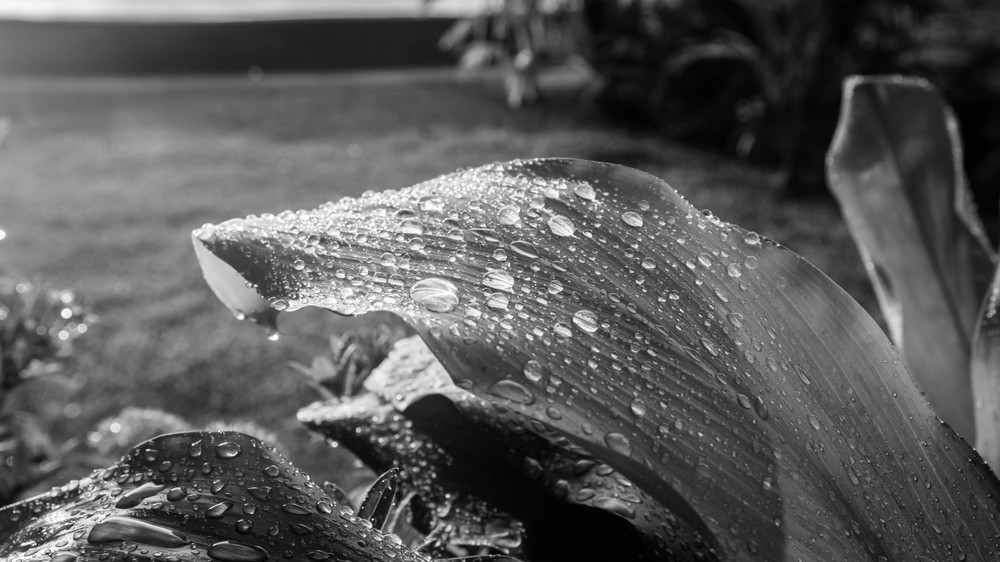 0 Y4 A1367 Photography Art | Captured Adventure Photography