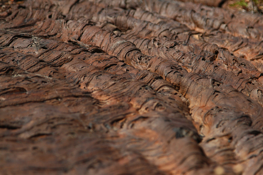 Img 5068 Photography Art | Captured Adventure Photography